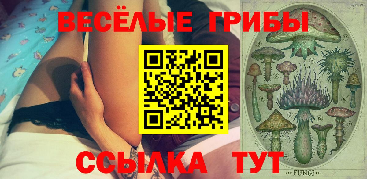 Псилоцибиновые грибы прущие грибы Красноперекопск