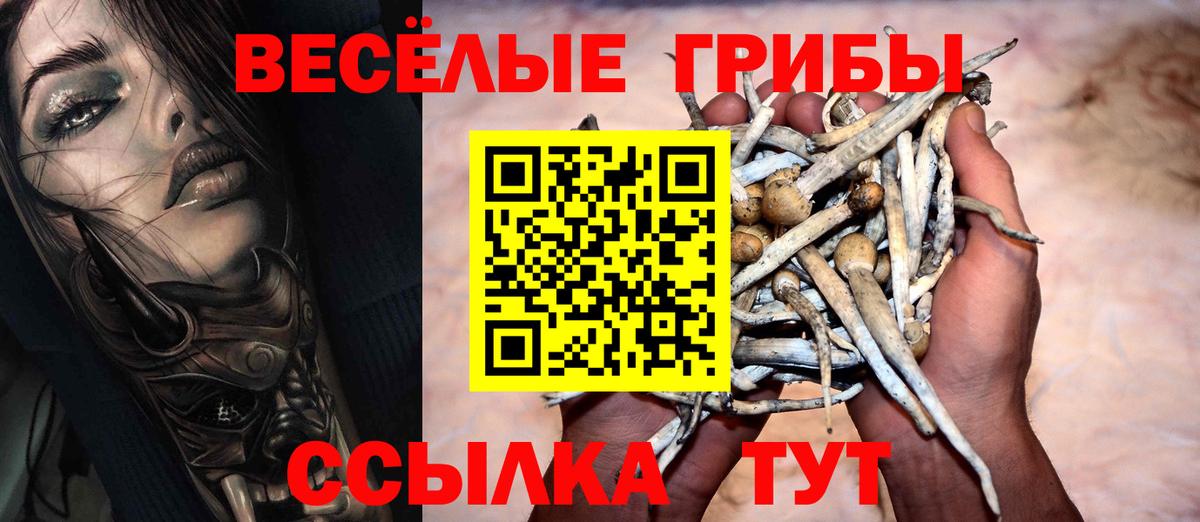 Псилоцибиновые грибы Cubensis  Галлюциногенные грибы MAGIC MUSHROOMS  Вход с VPN  Красноперекопск 